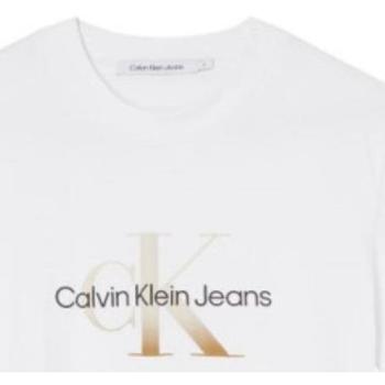 textil Mujer Camisetas manga corta Calvin Klein Jeans J20J219797 YAF Blanco
