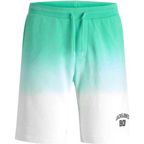 textil Niño Shorts / Bermudas Jack & Jones 12220422 JPSTAIRDIP SWEAT SHORT JNR BISCAY GREEN Verde