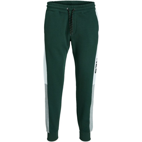 textil Hombre Pantalones Jack & Jones 12197199 JPSTWILL LOGO JJBLOCKING SWT P VG NOOS PINE GROVE Verde
