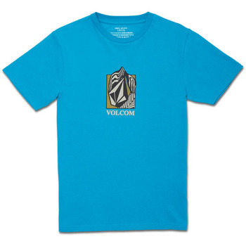 textil Niños Camisetas manga corta Volcom Crostic Bsc Ss Barrier Reef