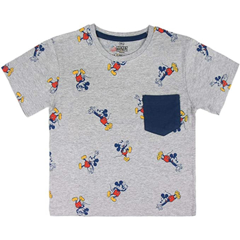 textil Niño Camisetas manga larga Disney 2200003722 Gris