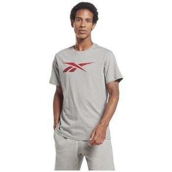 textil Hombre Camisetas manga corta Reebok Sport RI Logo Tee Gris