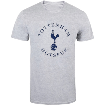 textil Camisetas manga larga Tottenham Hotspur Fc  Gris