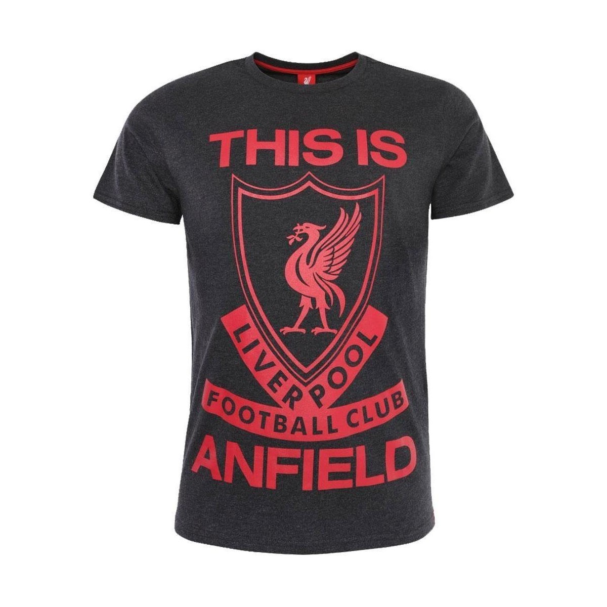 textil Hombre Camisetas manga larga Liverpool Fc This Is Anfield Rojo