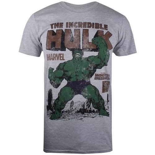 textil Hombre Camisetas manga larga Hulk Rage Gris