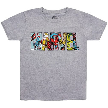 textil Niño Camisetas manga corta Marvel  Gris