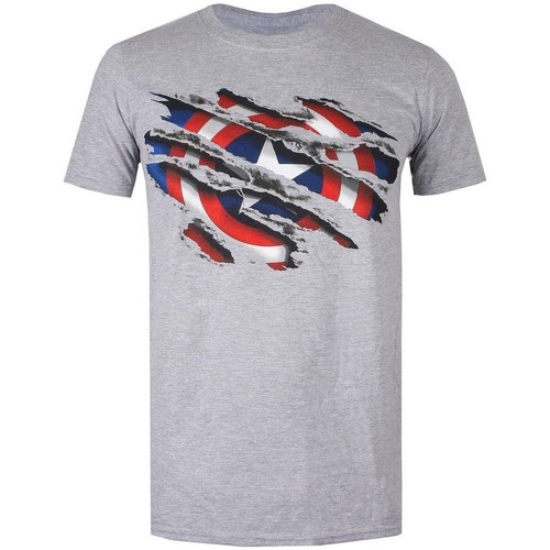 textil Niño Tops y Camisetas Captain America TV462 Gris