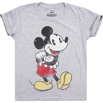 textil Niño Camisetas manga corta Disney  Gris