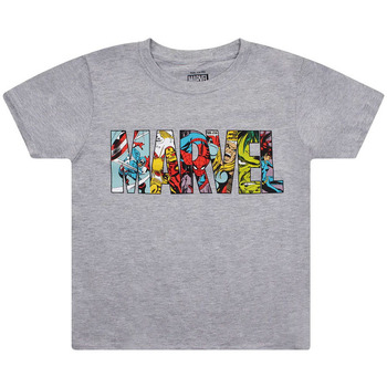textil Niño Camisetas manga corta Marvel  Gris