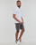 textil Hombre Shorts / Bermudas Levi's 501® ORIGINAL SHORT Gris