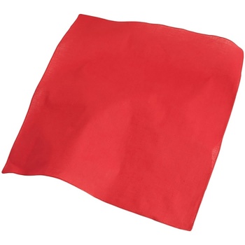 Accesorios textil Bufanda Atlantis Goal Rojo
