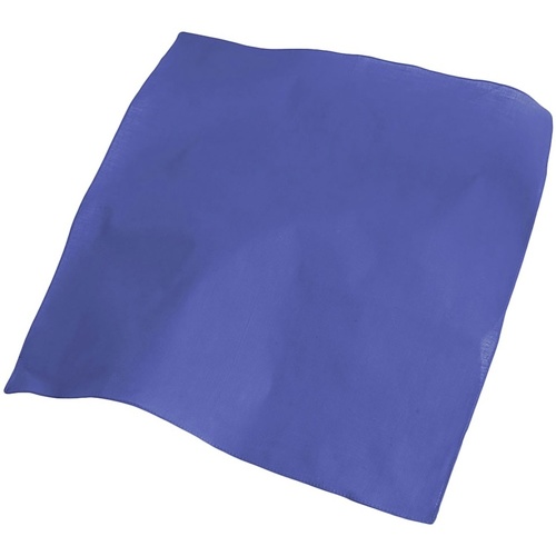 Accesorios textil Bufanda Atlantis Goal Azul