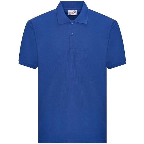 textil Niño Tops y Camisetas Awdis Academy Azul