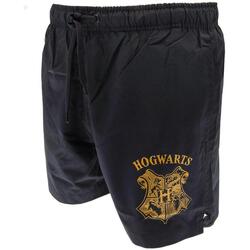 textil Hombre Shorts / Bermudas Harry Potter TA9203 Azul
