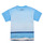 textil Niño Camisetas manga corta Desigual TS_ALBERT Azul