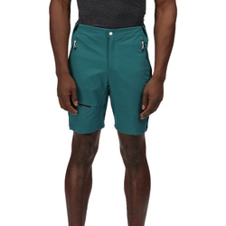textil Hombre Shorts / Bermudas Regatta Highton Pro Negro
