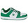Zapatos Hombre Zapatillas bajas DC Shoes MANTECA 4 SN Blanco / Verde