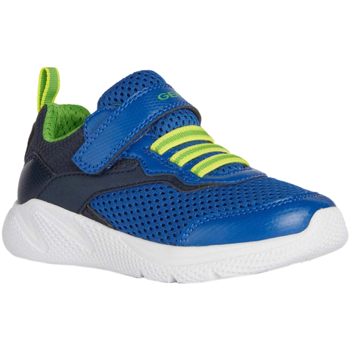 Zapatos Niños Multideporte Geox Sprintye Azul