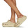 Zapatos Mujer Zuecos (Clogs) Crocs Classic Crush Clog Beige