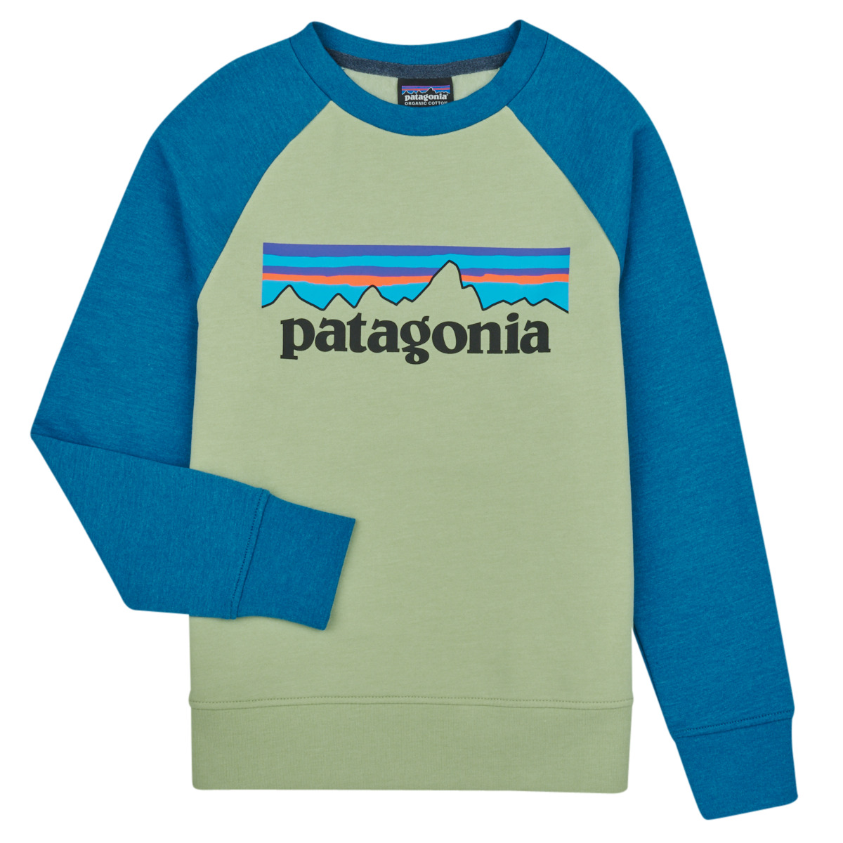 textil Niños Sudaderas Patagonia K's LW Crew Sweatshirt Multicolor