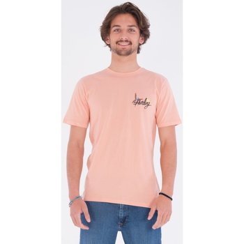 textil Hombre Camisetas manga corta Hurley Camiseta  Wash Parrot Tee Pink Quest Pink