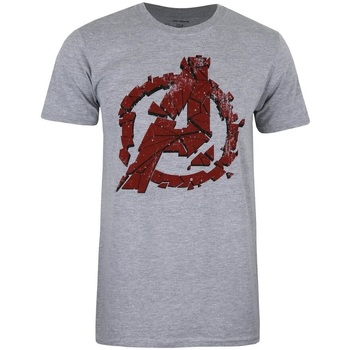 textil Hombre Camisetas manga larga Avengers Endgame  Gris