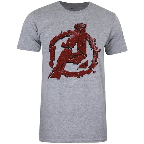 textil Hombre Camisetas manga larga Avengers Endgame TV1646 Gris