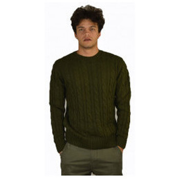 textil Hombre Tops y Camisetas Landek Maglione trecce Verde