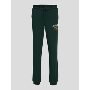 textil Niño Pantalones Jack & Jones 12213086 SWEAT PANT 2-PINE GROVE Verde