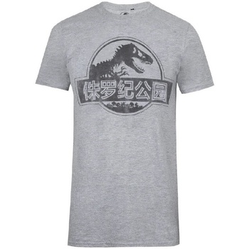 textil Hombre Camisetas manga larga Jurassic Park TV1699 Gris