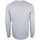 textil Hombre Camisetas manga larga Guinness TV1590 Gris