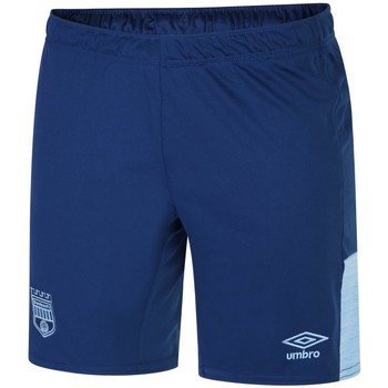 textil Hombre Shorts / Bermudas Umbro 22/24 Azul