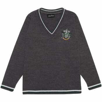 textil Niños Jerséis Harry Potter HE1206 Verde