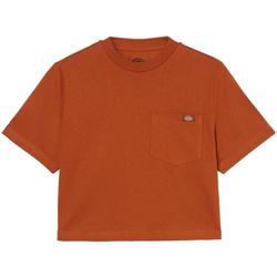 textil Mujer Camisetas manga corta Dickies DK0A4XDEIEX1 Naranja