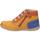 Zapatos Niño Botas de caña baja Kickers 879059-10 BONZIP-2 GOLF Marr