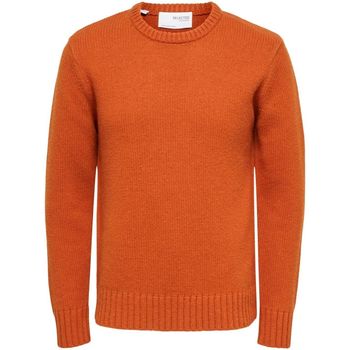 textil Hombre Jerséis Selected 16086702 SLHSOLO-BOMBAY BROWN Naranja