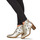 Zapatos Mujer Botas de caña baja Casta TERRY Plata