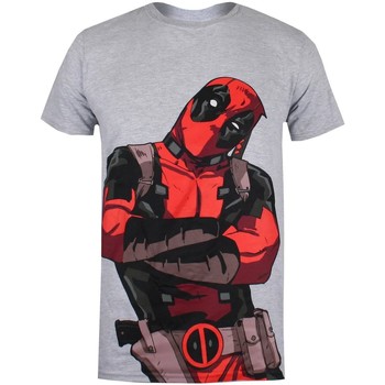 textil Hombre Camisetas manga larga Deadpool  Gris