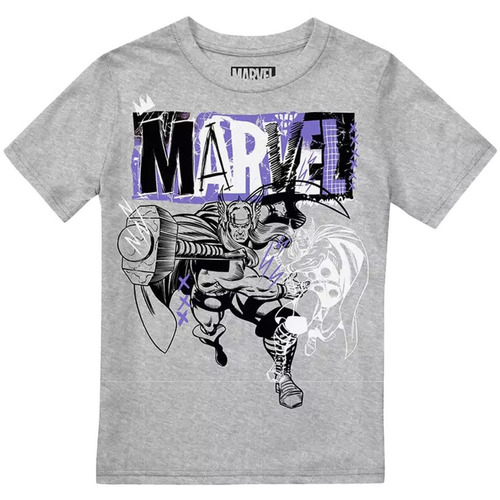 textil Niño Camisetas manga larga Thor Thunder Gris