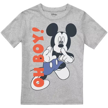 textil Niño Camisetas manga larga Disney  Gris
