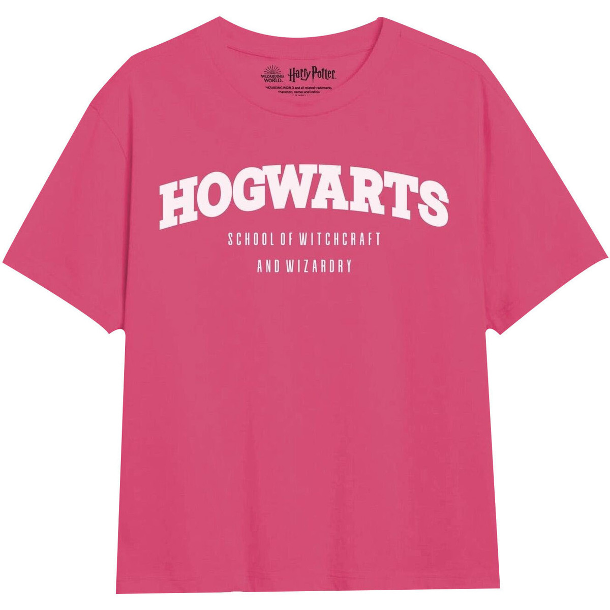 textil Niña Camisetas manga larga Harry Potter School Multicolor