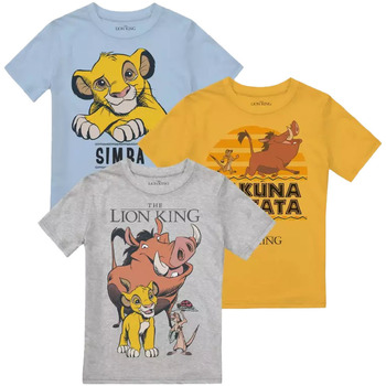 textil Niño Camisetas manga larga The Lion King  Multicolor