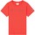 textil Niño Camisetas manga corta Champion T-shirt enfant  Cml Logo Multicolor