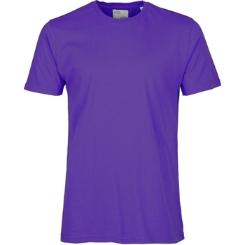 textil Camisetas manga corta Colorful Standard T-shirt  Classic Organic ultra violet Violeta