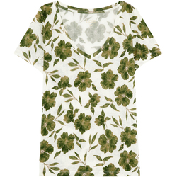 textil Mujer Camisetas manga corta Les Petites Bombes T-shirt femme  Ariana Verde