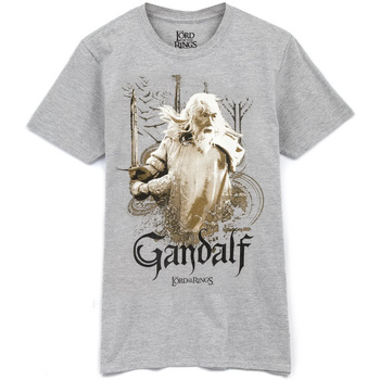 textil Hombre Camisetas manga larga The Lord Of The Rings NS6898 Gris