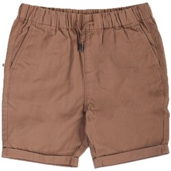 textil Niños Shorts / Bermudas Barbour CST0001 Beige