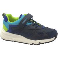 Zapatos Niños Zapatillas bajas Geox GEO-E23-J26H0C-NL-a Azul