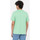 textil Hombre Tops y Camisetas Dickies Ss mapleton t-shirt Verde