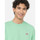 textil Hombre Tops y Camisetas Dickies Ss mapleton t-shirt Verde